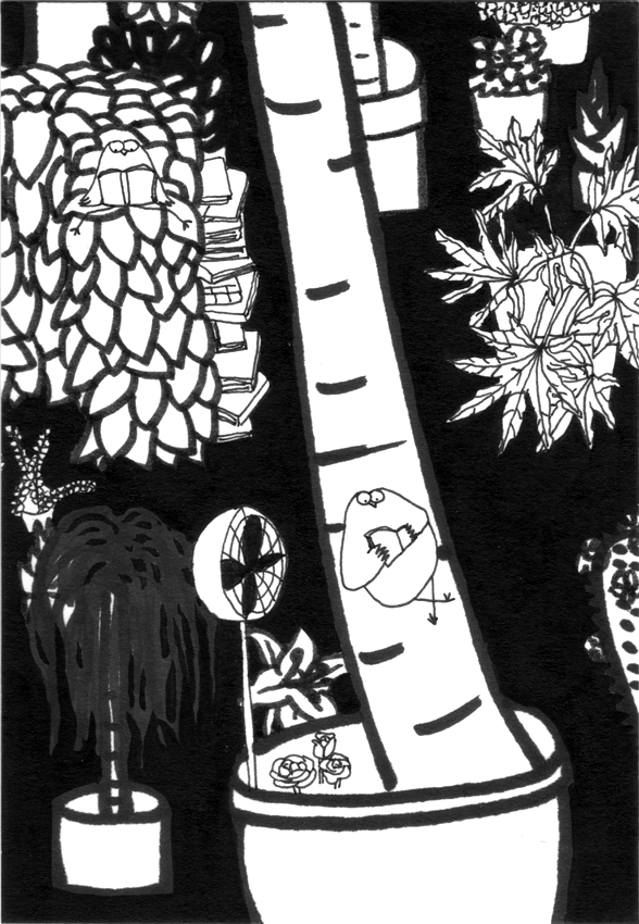 allonge_palmier_72_30