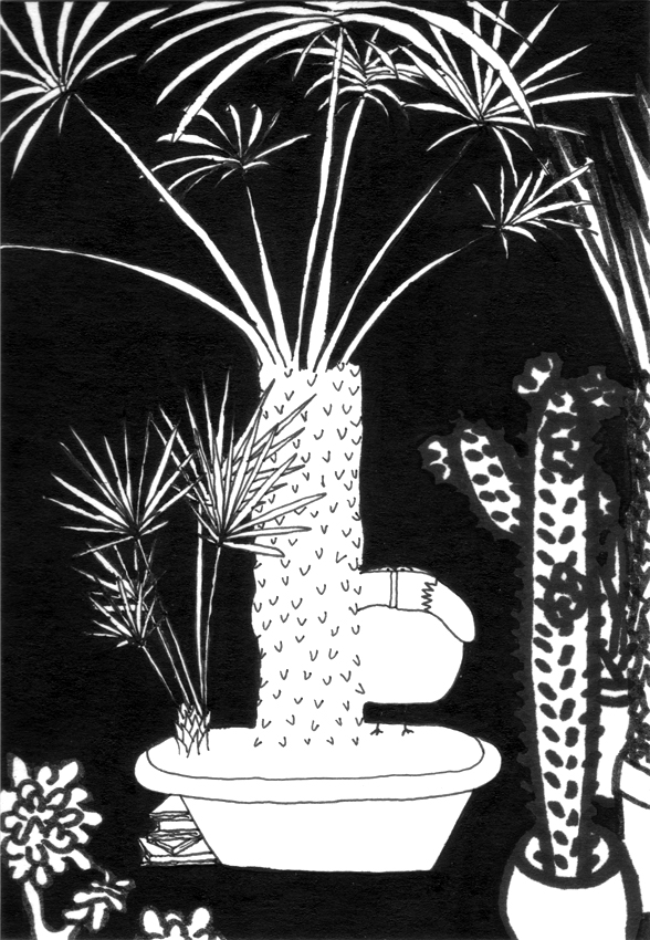 cache_debout_palmier_72_30